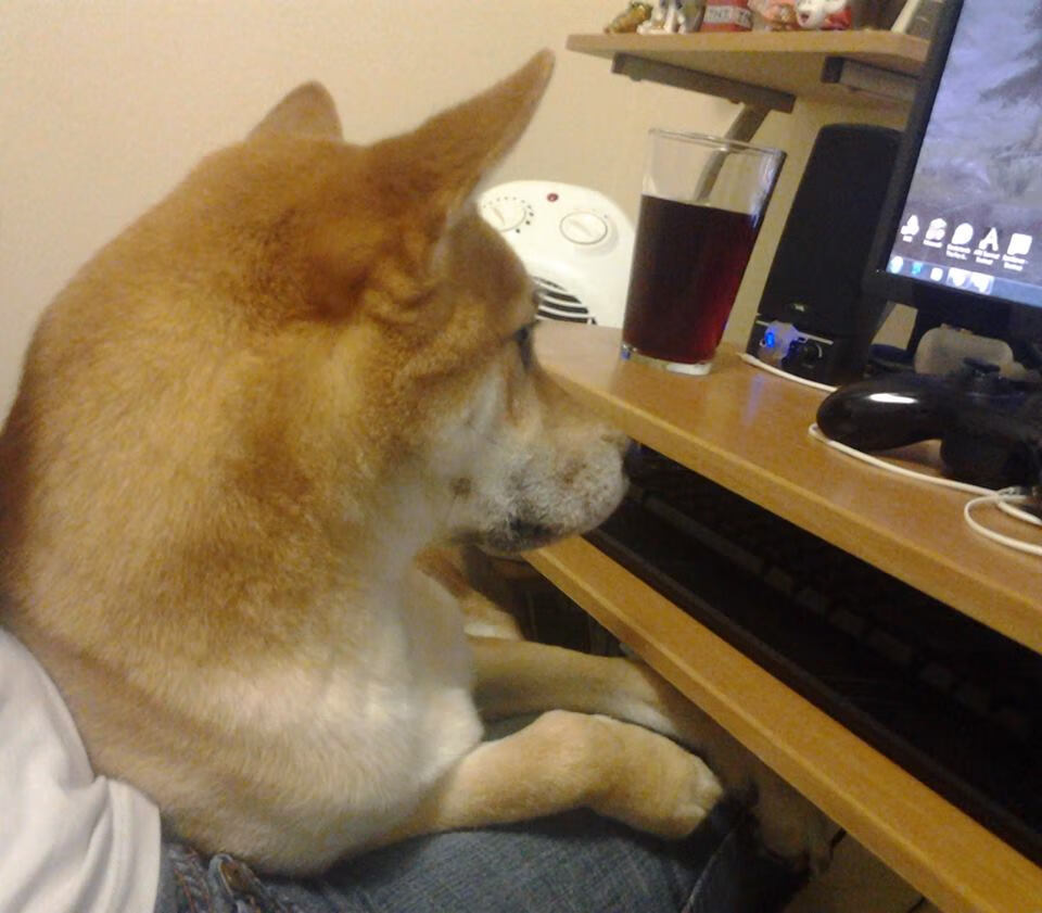 全国足球运动员技能比赛圆满落幕,发现新人才,中国足球协会足球运动员技术等级标准